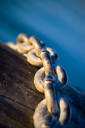 Celtic Knot Links